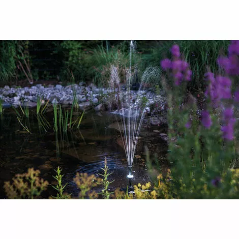 Meilleur prix ? Pompe Solaire De Bassin Avec Batterie Rechargeable 20W Pompe Solaire De Jardin Pompe De Bassin étang Esotec 101724 ? – Image 2