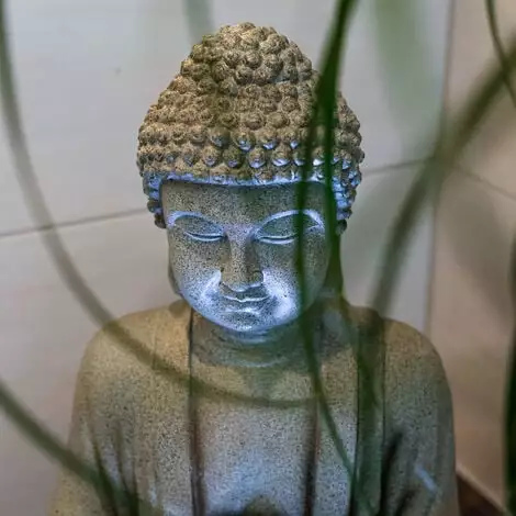 Meilleur prix ? ESOTEC Fontaine Dintérieur Bouddha Fontaine LED Fontaine Ornementale Fontaine De Jardin 230V 101402 ? â Image 4